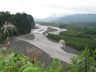 Zijrivier van de Amazone